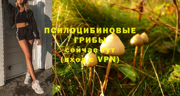 амф Ладушкин