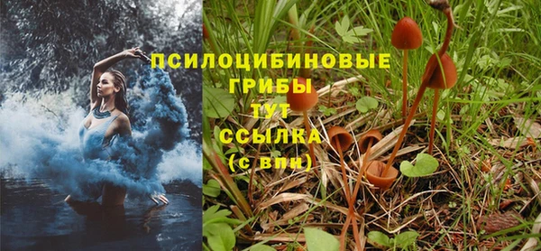 трава Лихославль