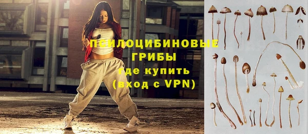 а пвп мука Кукмор