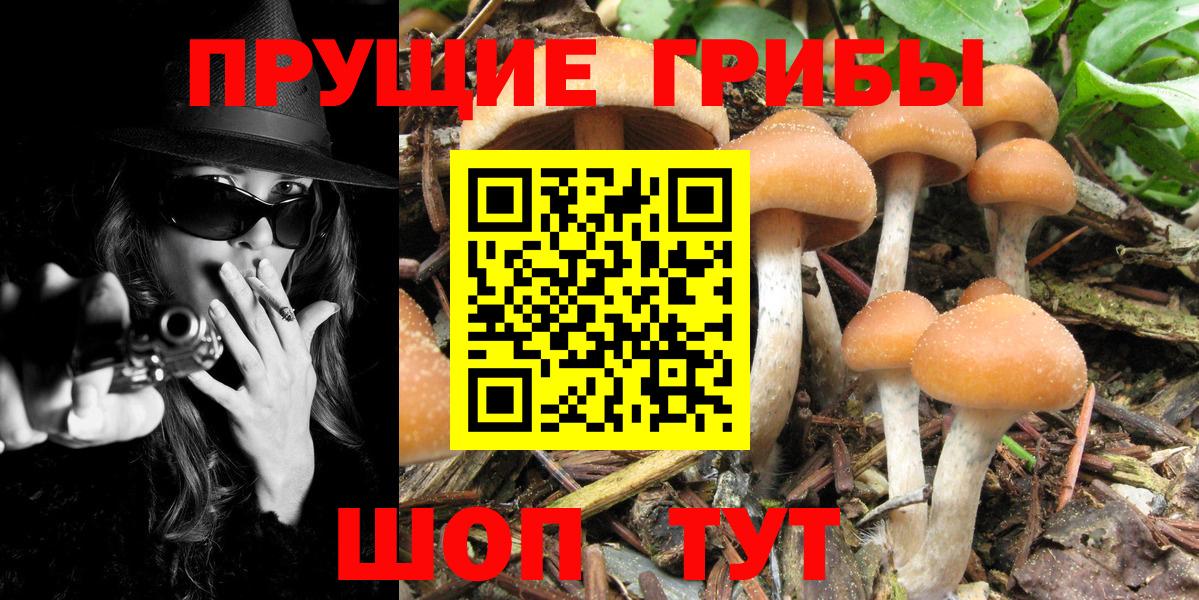 Галлюциногенные грибы Cubensis  Галлюциногенные грибы мицелий  Вход с VPN  Ливны 